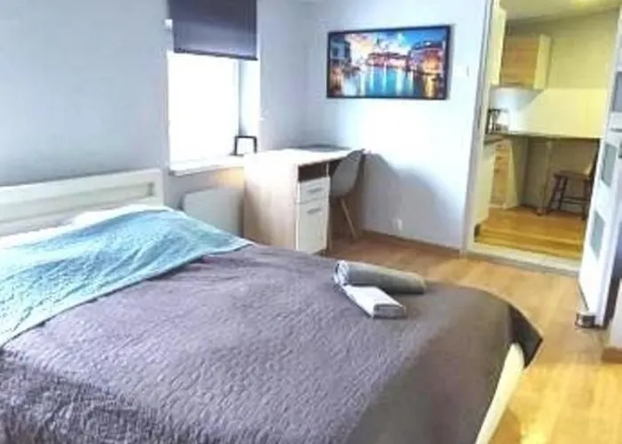 Apartman Ronus Pomorska 116 -bezplatny Parking Łódź